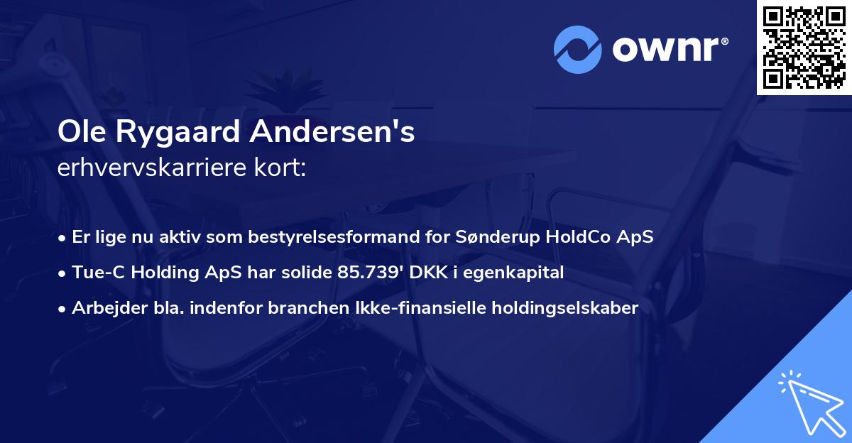 Ole Rygaard Andersen's erhvervskarriere kort