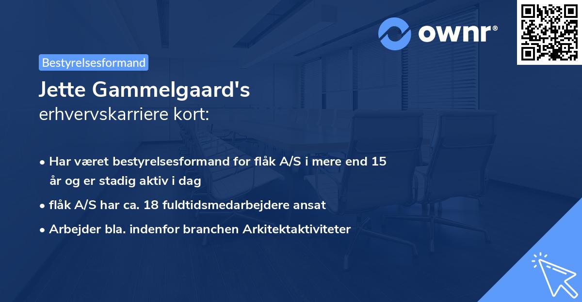 Jette Gammelgaard's erhvervskarriere kort
