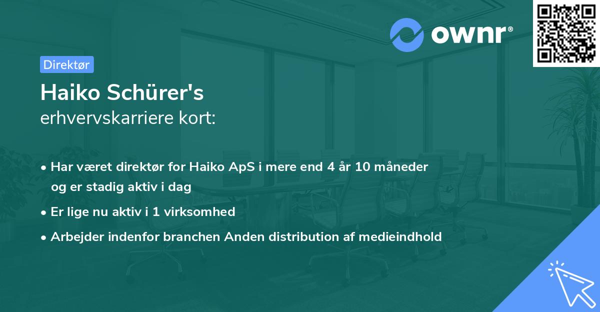 Haiko Schürer's erhvervskarriere kort