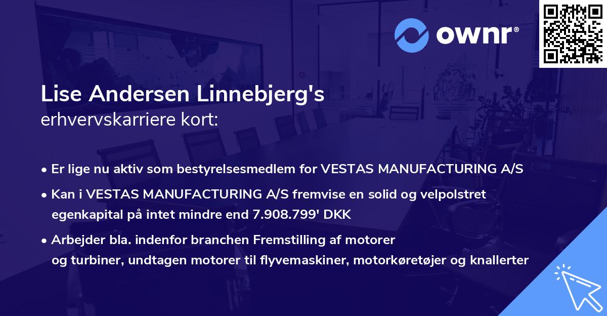 Lise Andersen Linnebjerg's erhvervskarriere kort