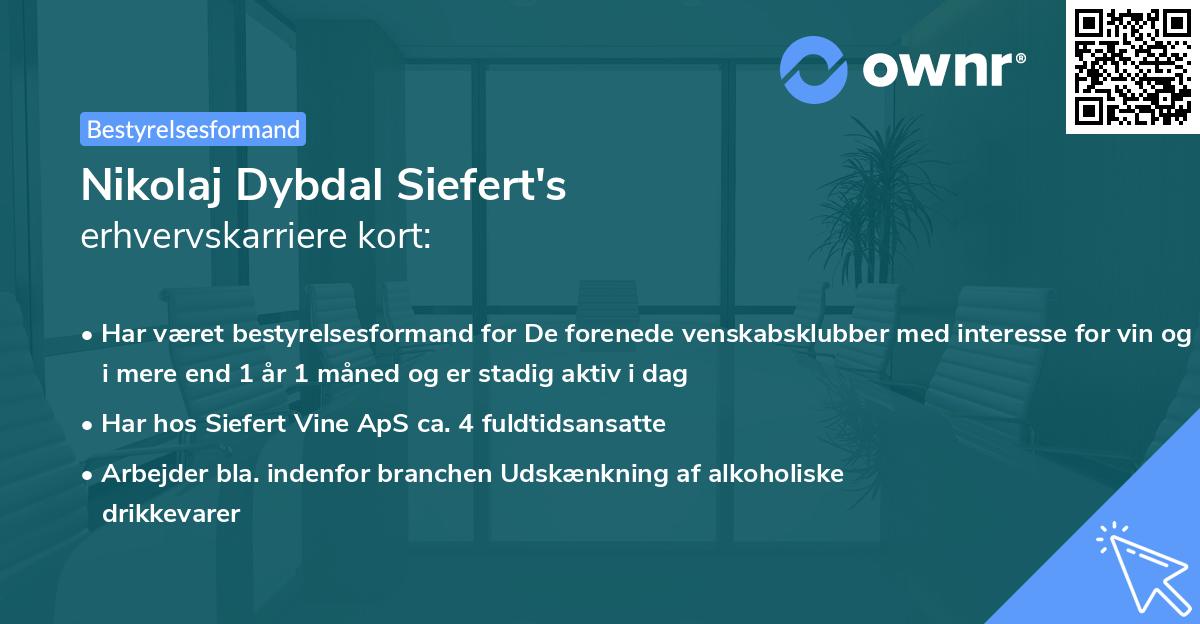 Nikolaj Dybdal Siefert's erhvervskarriere kort