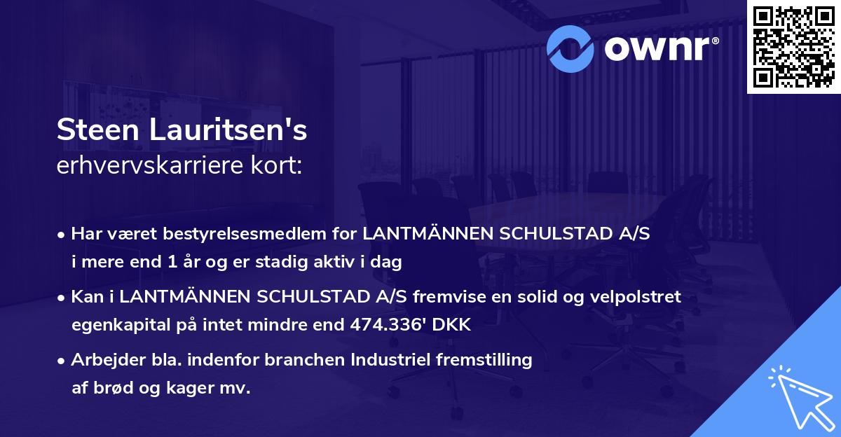 Steen Lauritsen's erhvervskarriere kort