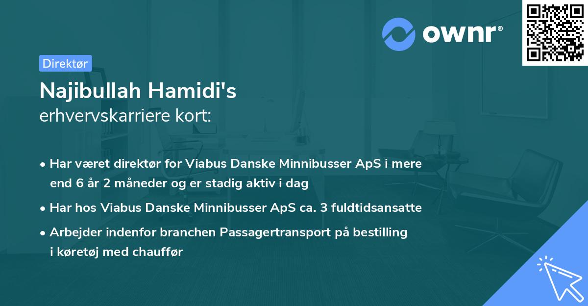 Najibullah Hamidi's erhvervskarriere kort