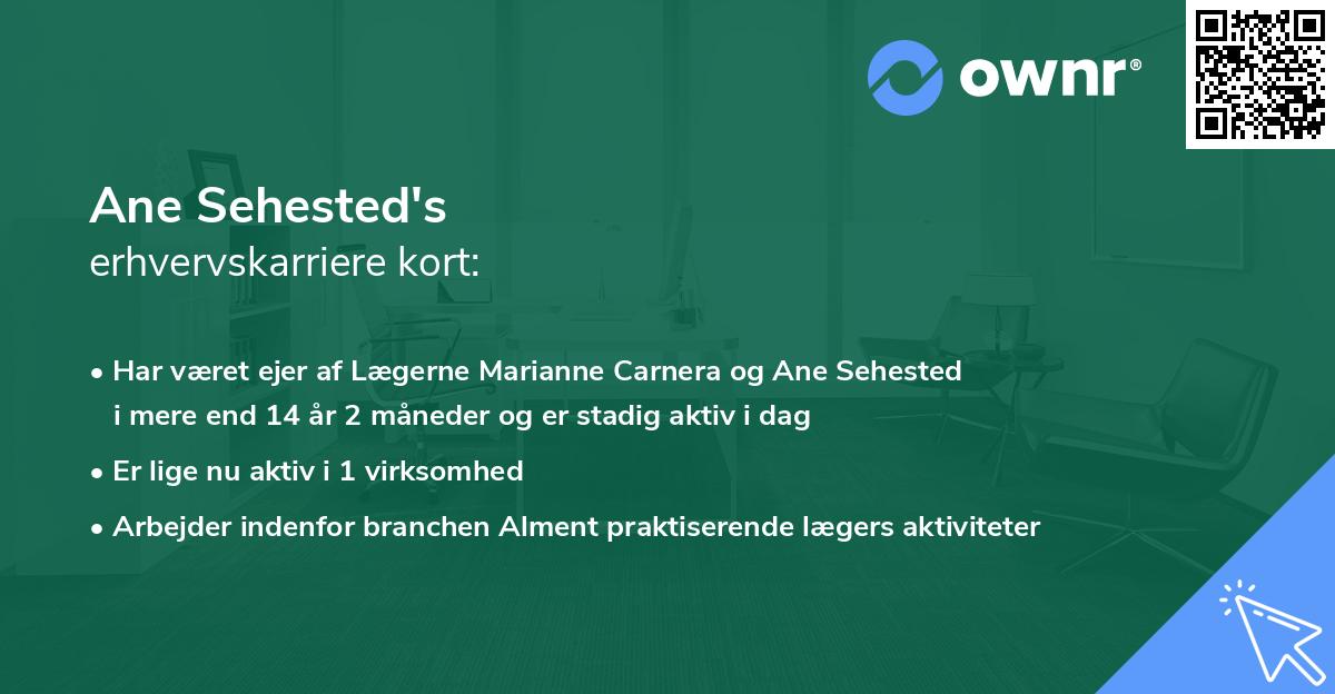 Ane Sehested's erhvervskarriere kort