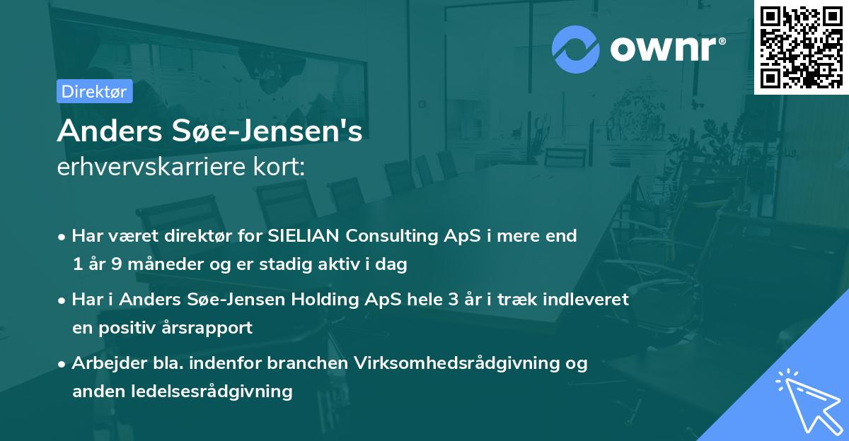 Anders Søe-Jensen's erhvervskarriere kort