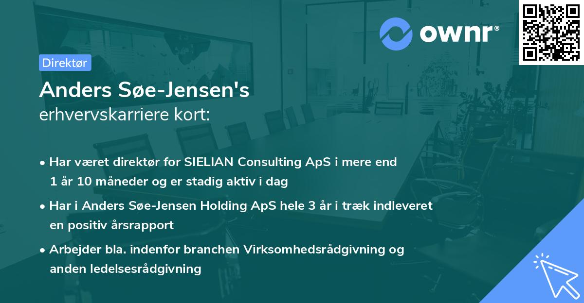 Anders Søe-Jensen's erhvervskarriere kort