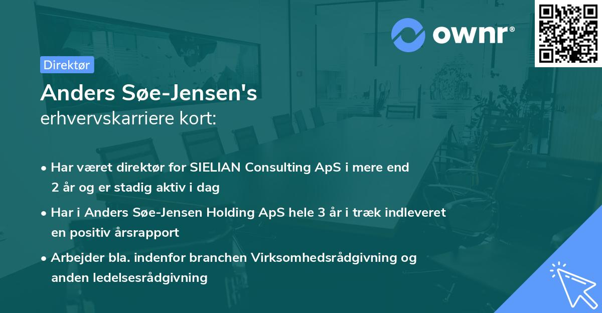 Anders Søe-Jensen's erhvervskarriere kort