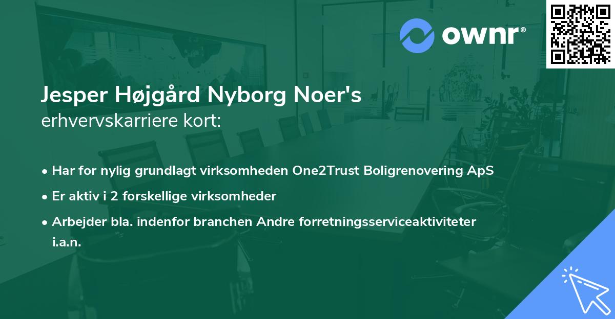 Jesper Højgård Nyborg Noer's erhvervskarriere kort