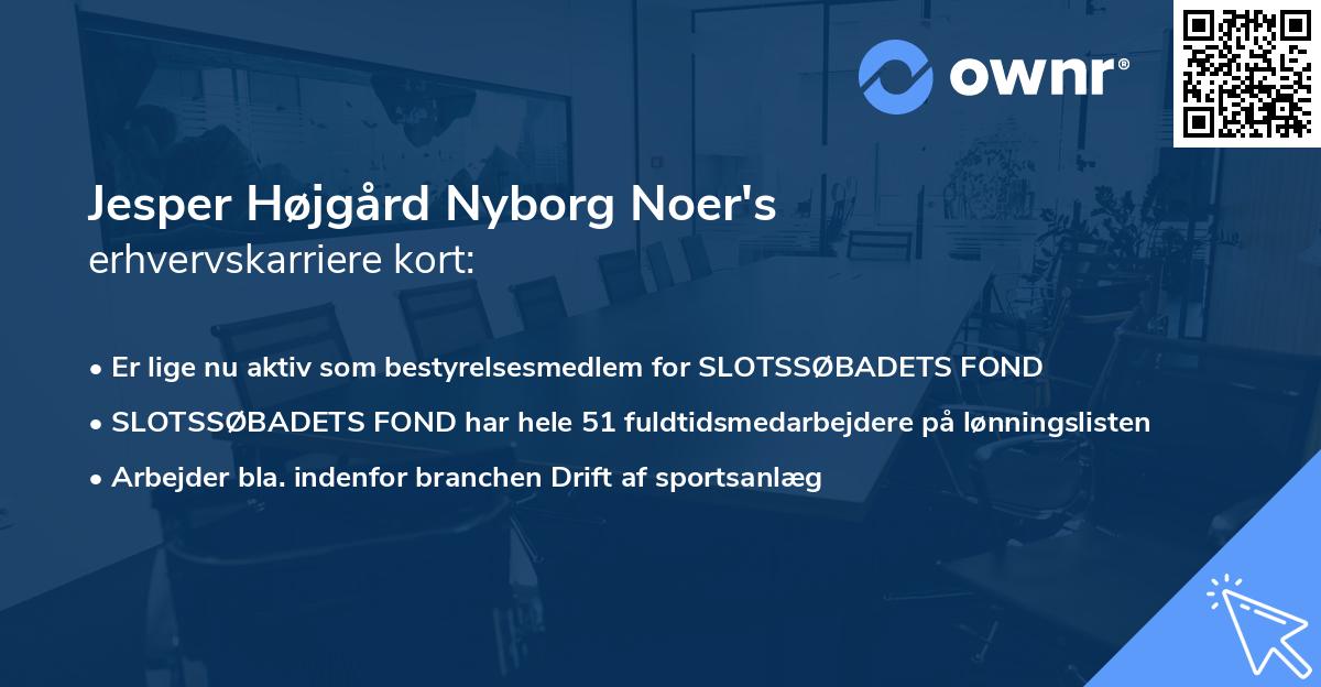 Jesper Højgård Nyborg Noer's erhvervskarriere kort