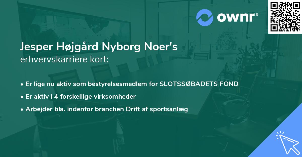 Jesper Højgård Nyborg Noer's erhvervskarriere kort