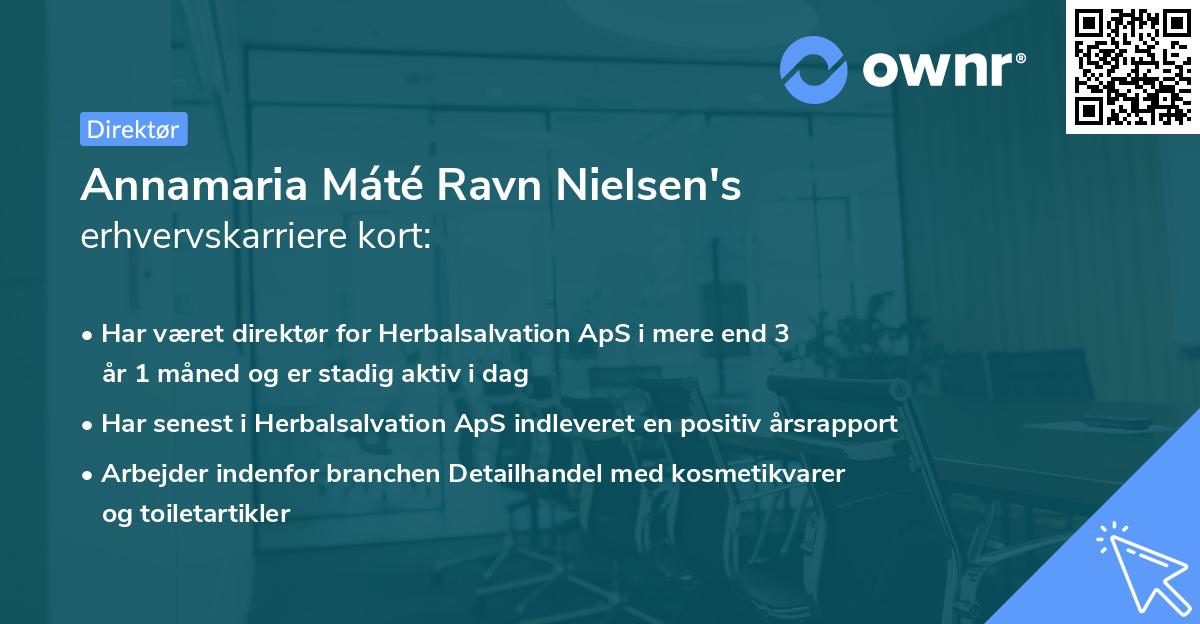 Annamaria Máté Ravn Nielsen's erhvervskarriere kort