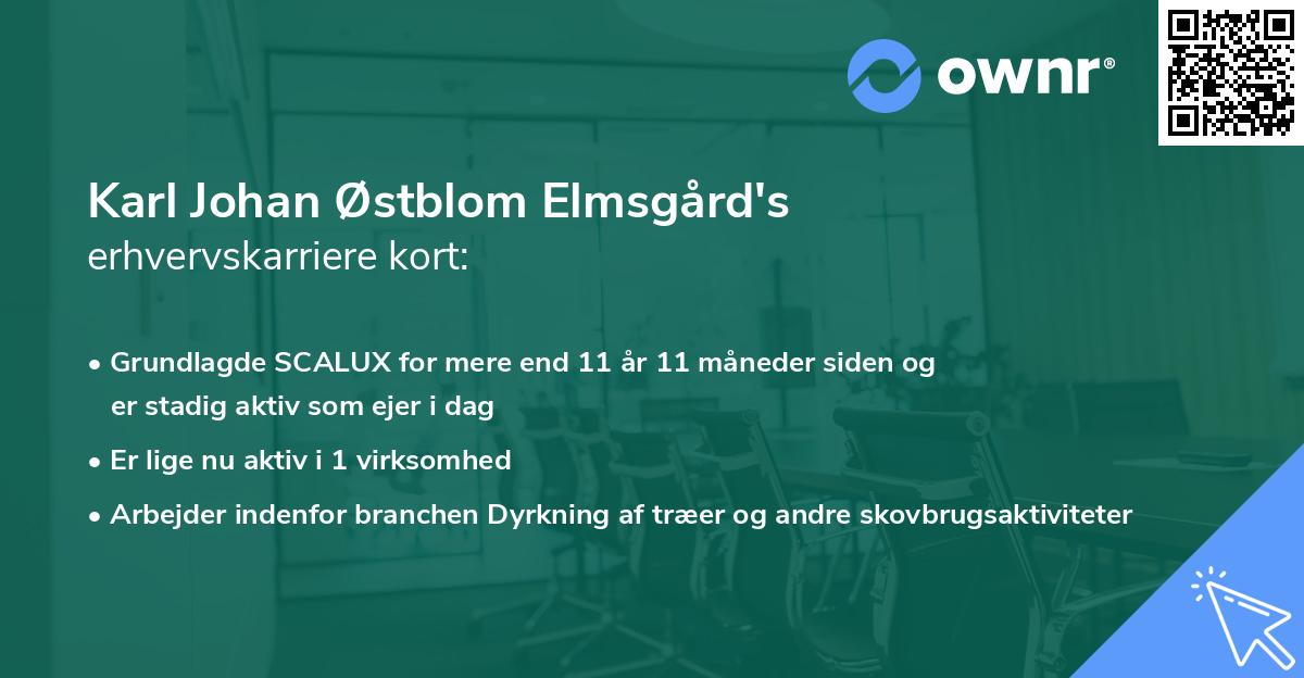 Karl Johan Østblom Elmsgård's erhvervskarriere kort
