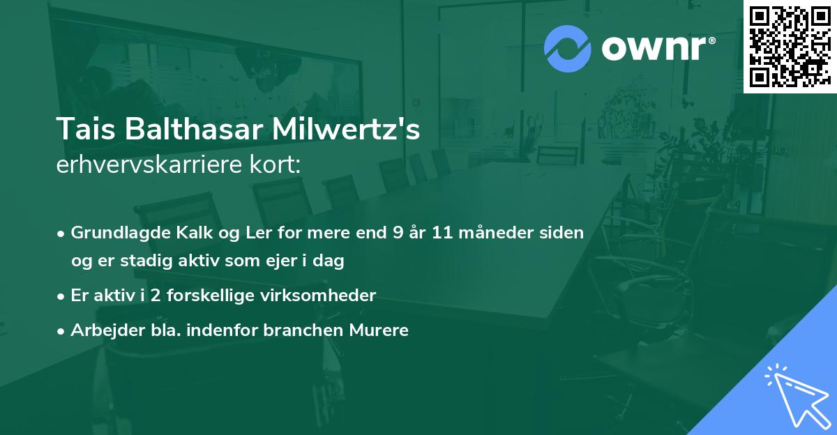 Tais Balthasar Milwertz's erhvervskarriere kort