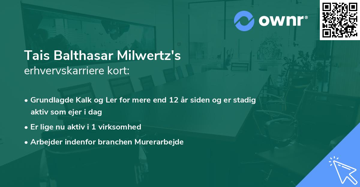 Tais Balthasar Milwertz's erhvervskarriere kort