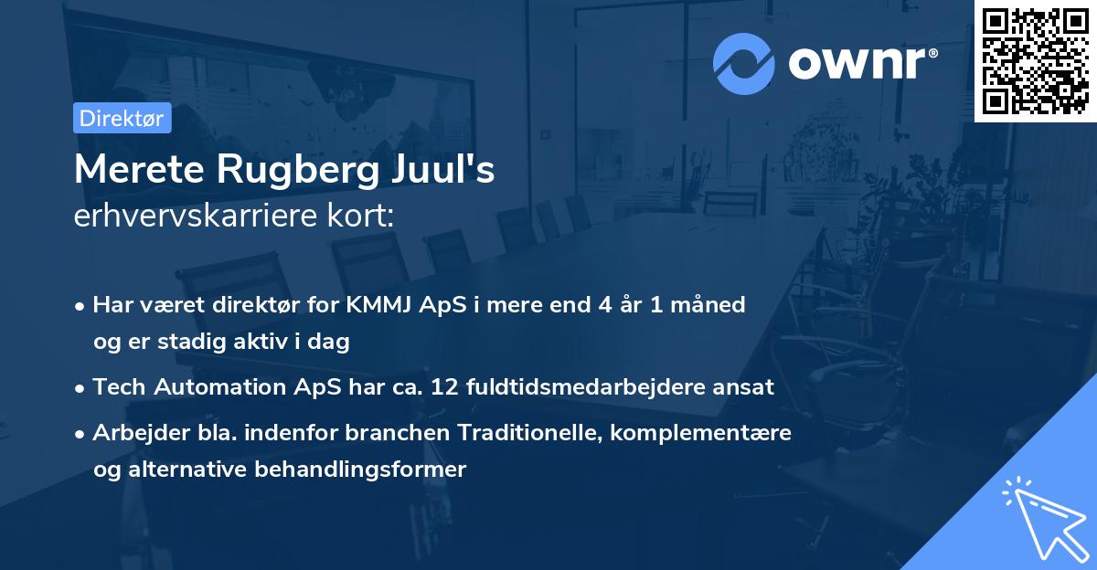 Merete Rugberg Juul's erhvervskarriere kort