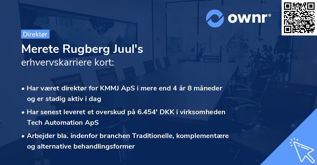Merete Rugberg Juul's erhvervskarriere kort