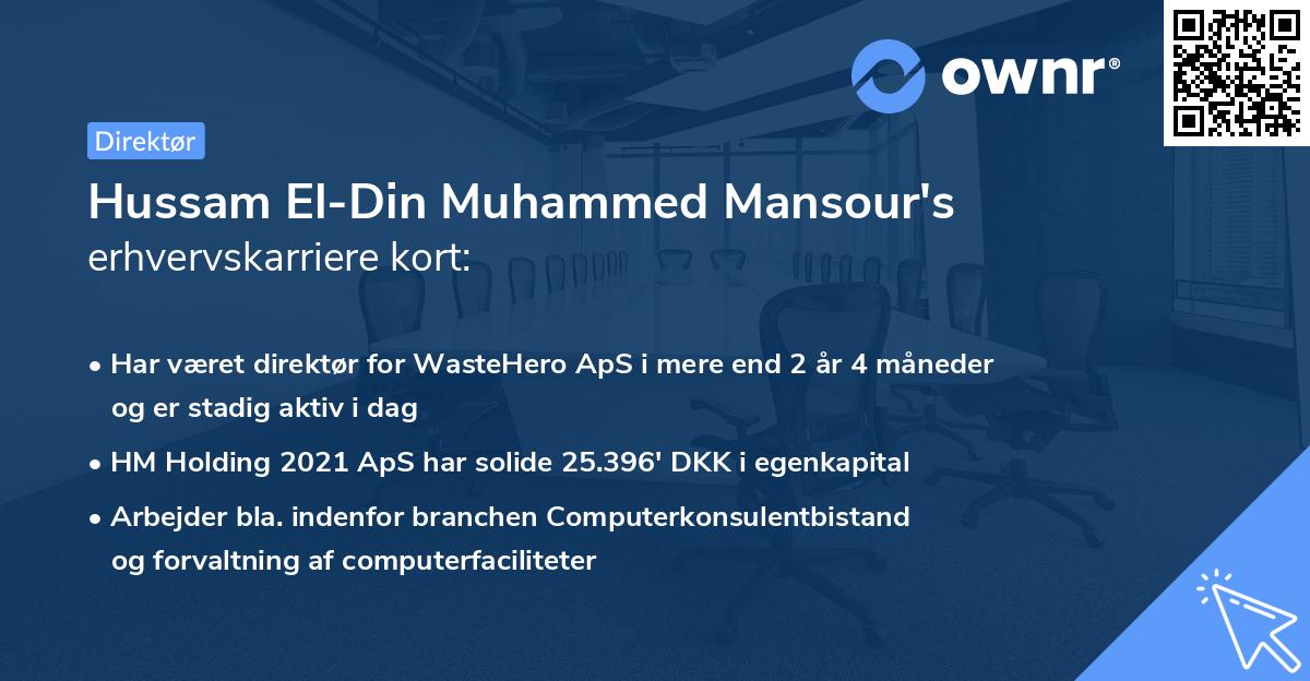Hussam El-Din Muhammed Mansour's erhvervskarriere kort