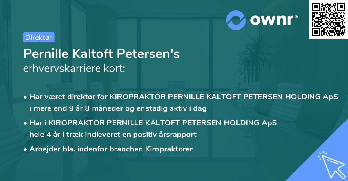 Pernille Kaltoft Petersen's erhvervskarriere kort