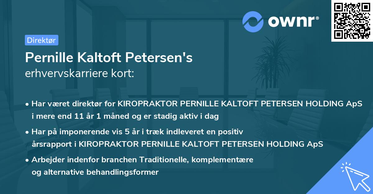 Pernille Kaltoft Petersen's erhvervskarriere kort