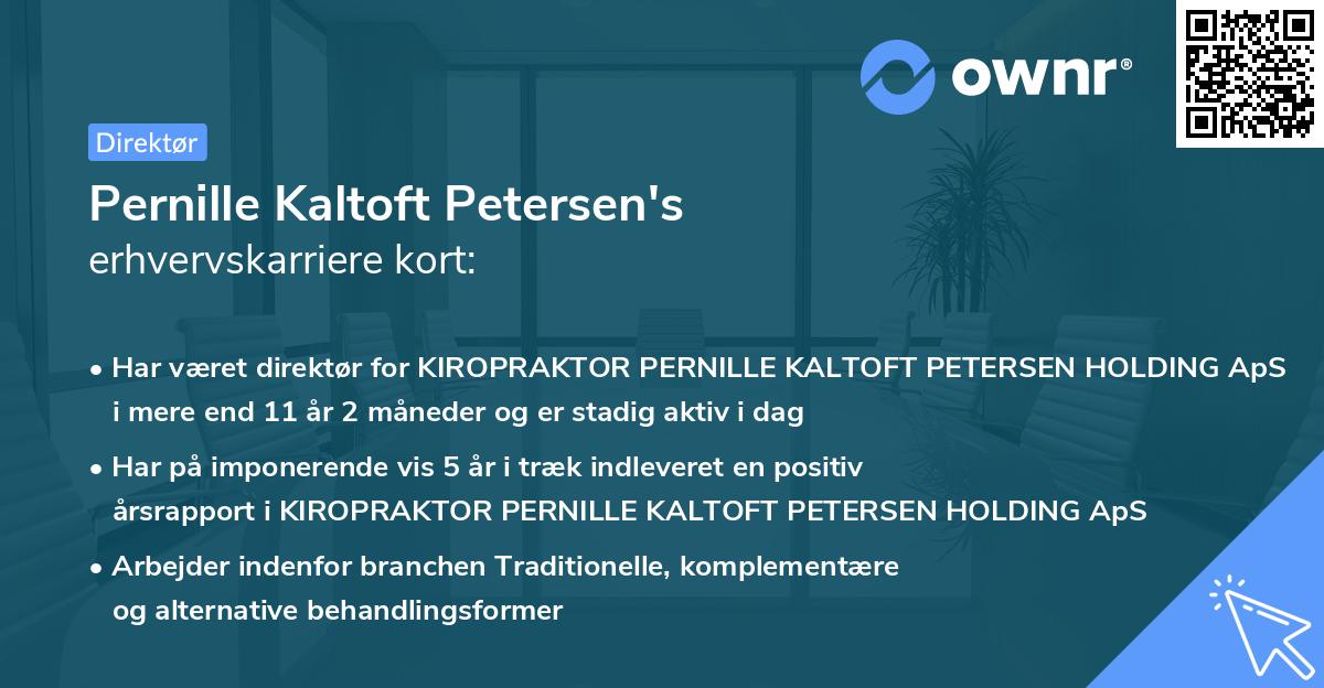 Pernille Kaltoft Petersen's erhvervskarriere kort