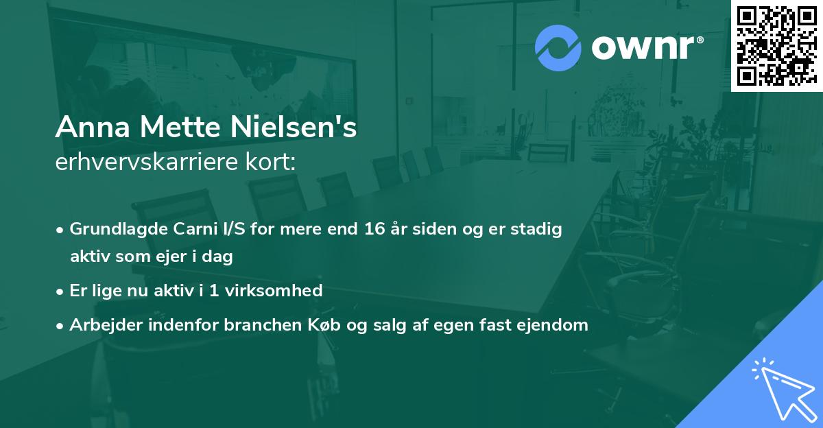 Anna Mette Nielsen's erhvervskarriere kort