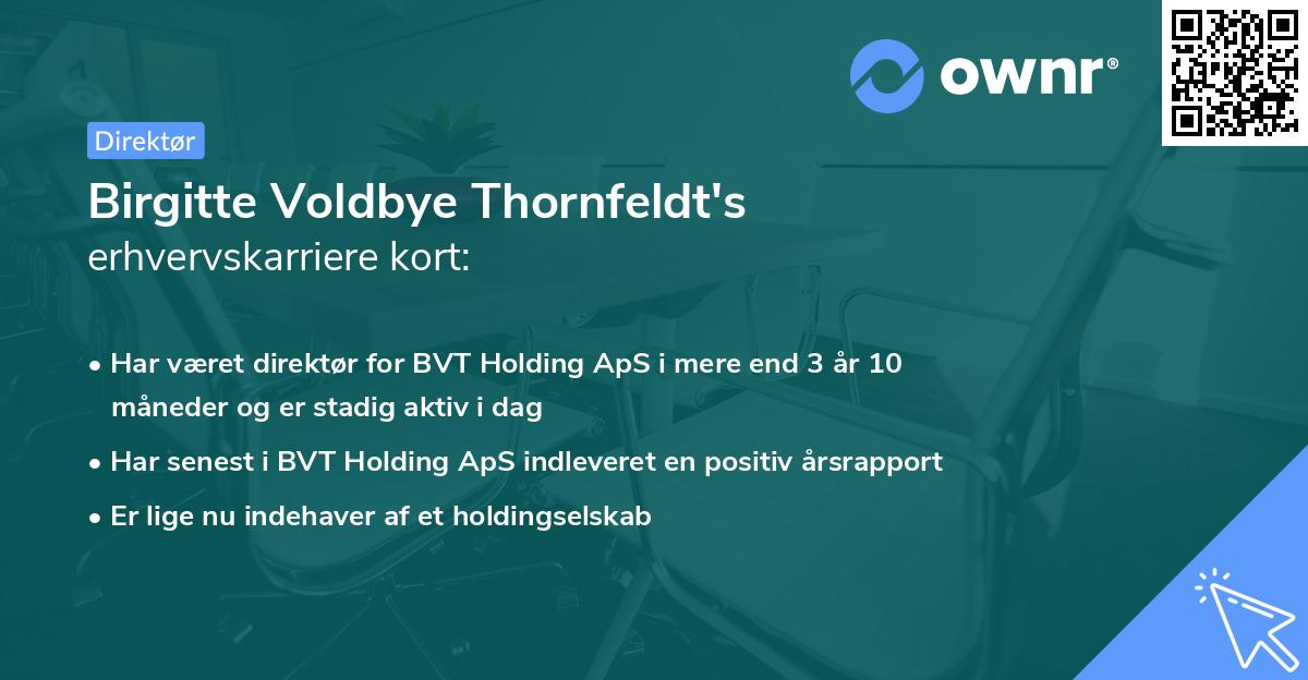 Birgitte Voldbye Thornfeldt's erhvervskarriere kort