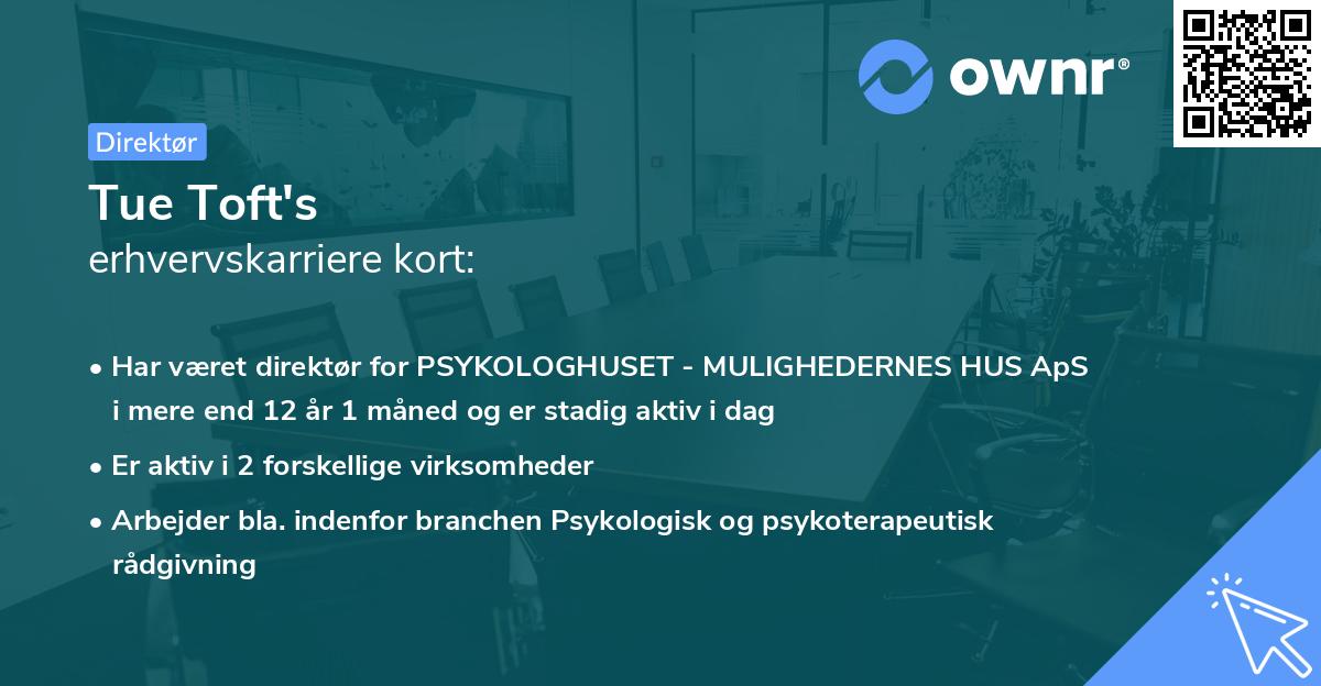 Tue Toft's erhvervskarriere kort