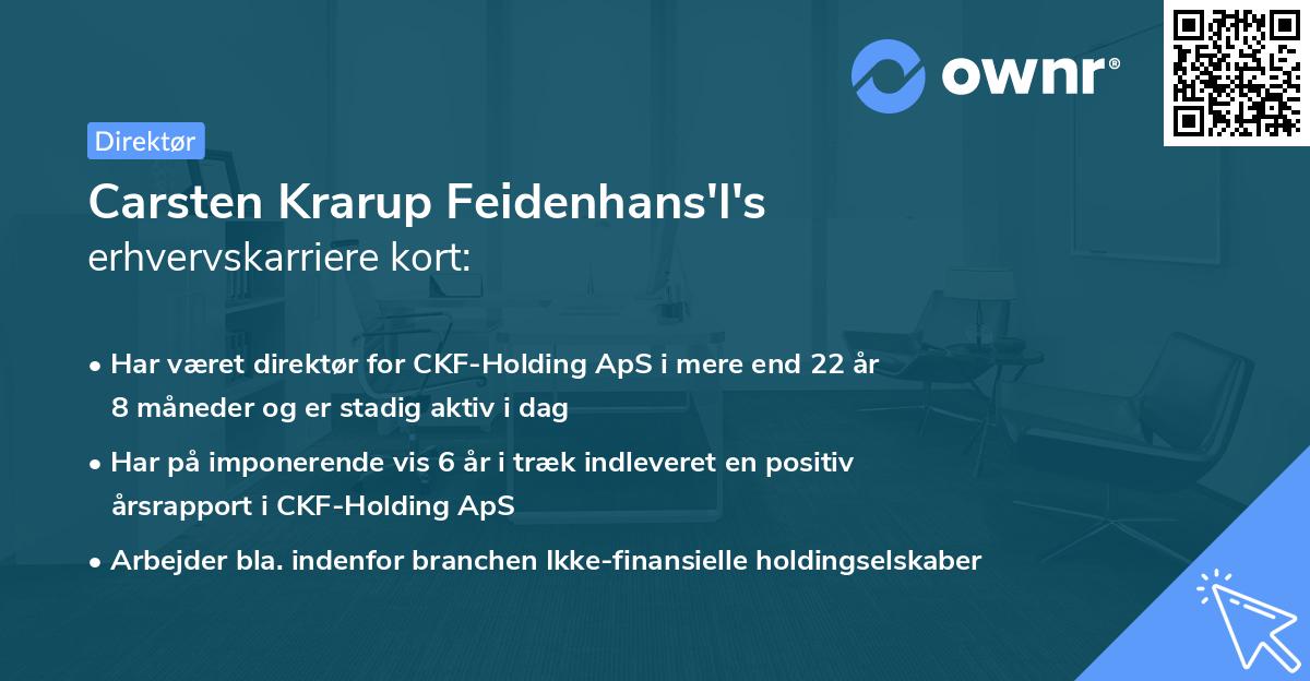 Carsten Krarup Feidenhans'l's erhvervskarriere kort