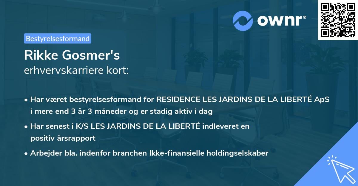 Rikke Gosmer's erhvervskarriere kort