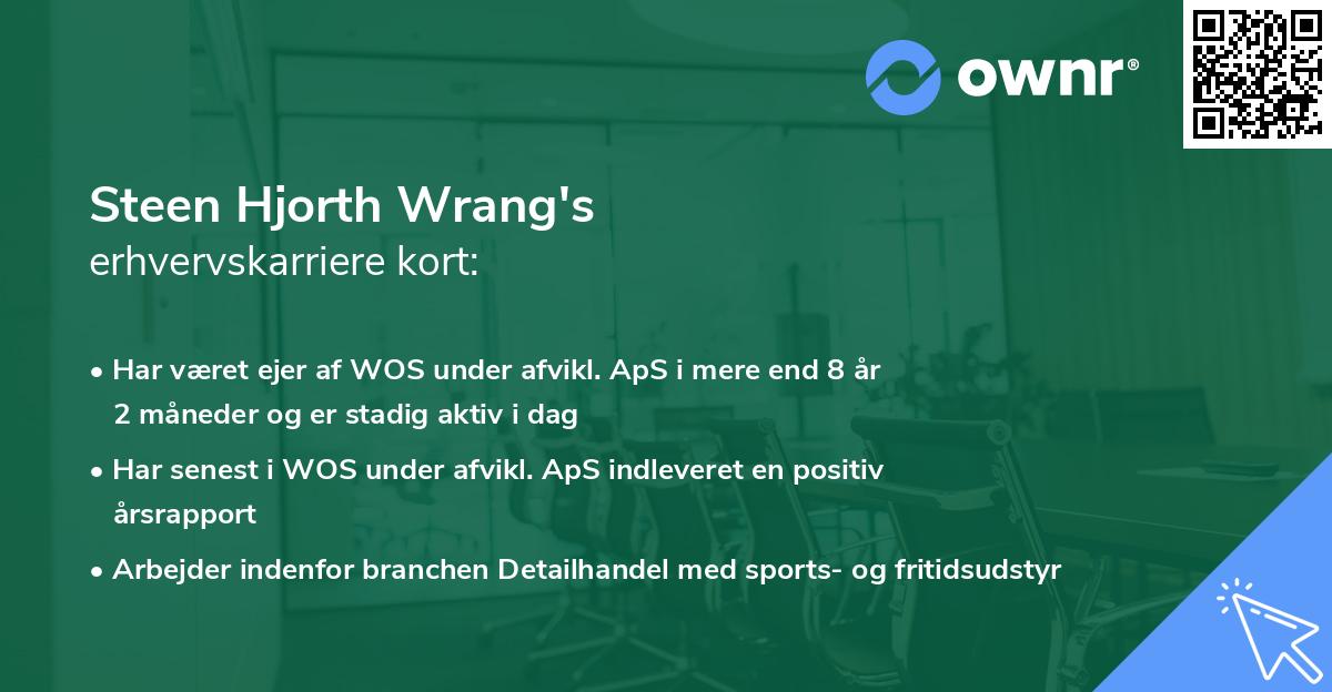 Steen Hjorth Wrang's erhvervskarriere kort