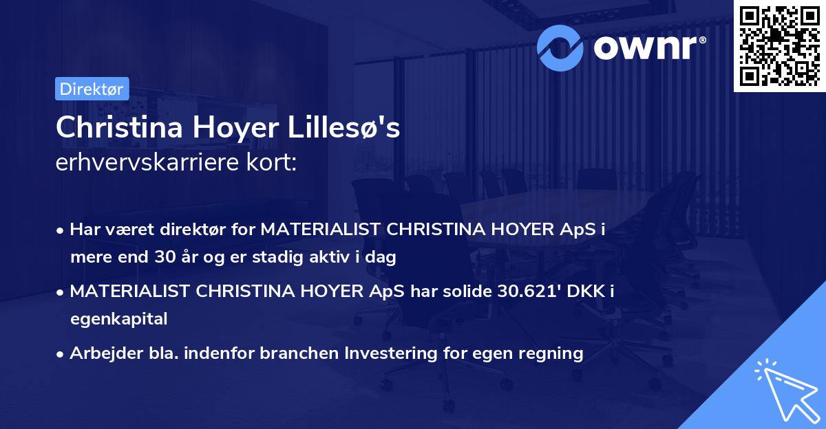 Christina Hoyer Lillesø's erhvervskarriere kort