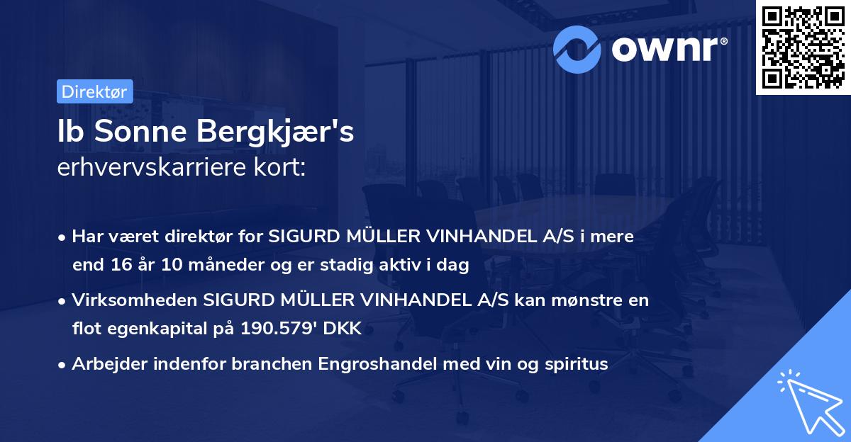 Ib Sonne Bergkjær's erhvervskarriere kort