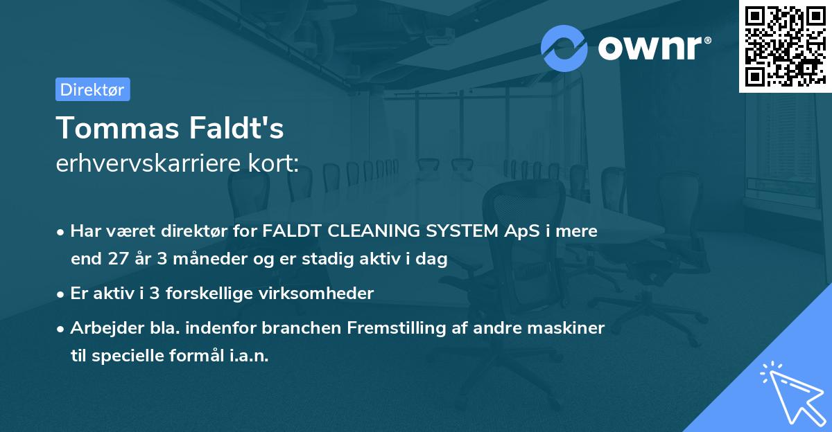 Tommas Faldt's erhvervskarriere kort
