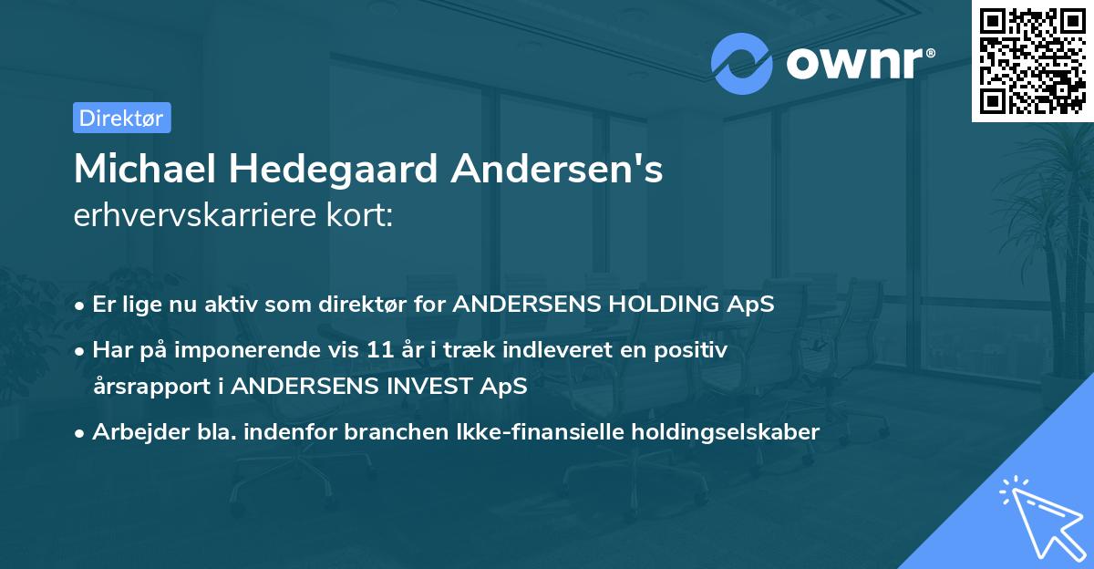 Michael Hedegaard Andersen's erhvervskarriere kort