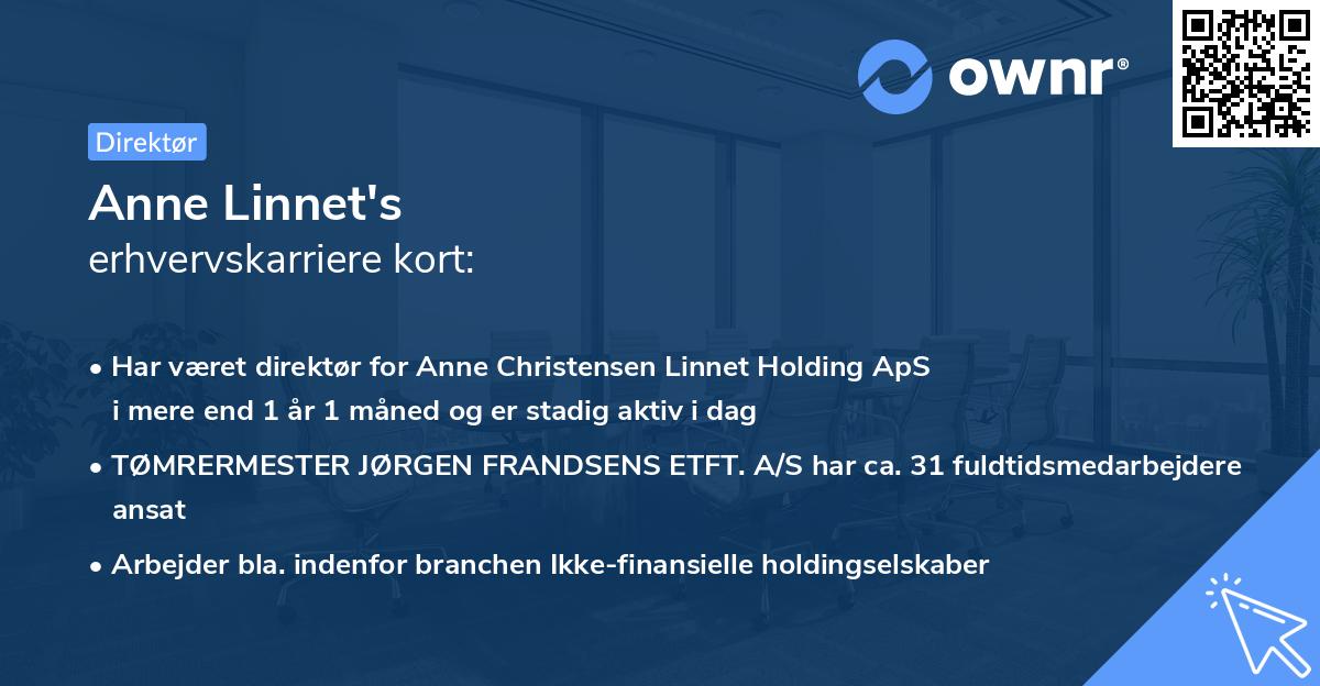 Anne Linnet's erhvervskarriere kort