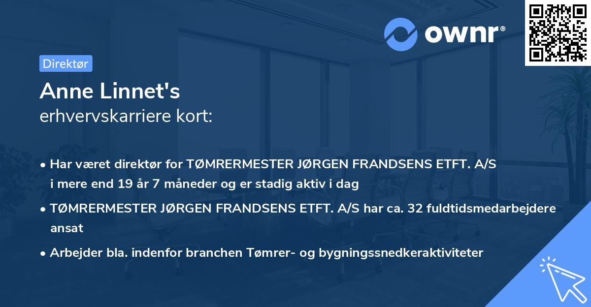 Anne Linnet's erhvervskarriere kort