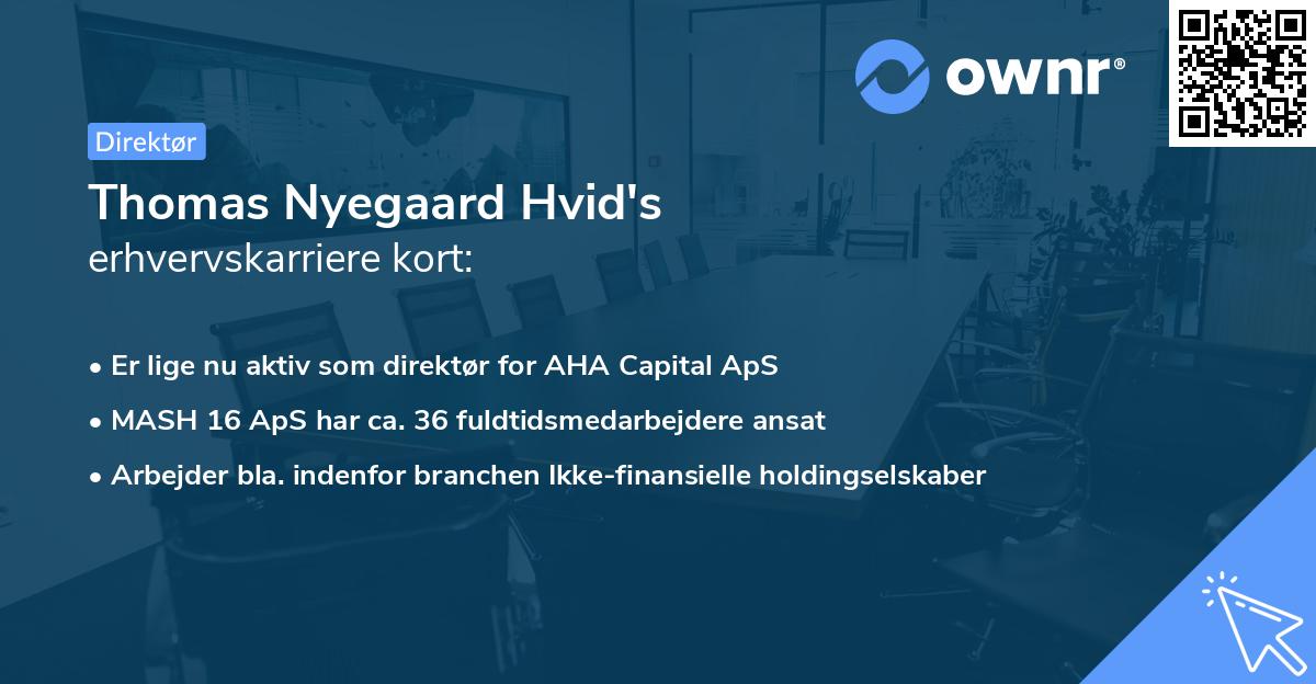 Thomas Nyegaard Hvid's erhvervskarriere kort
