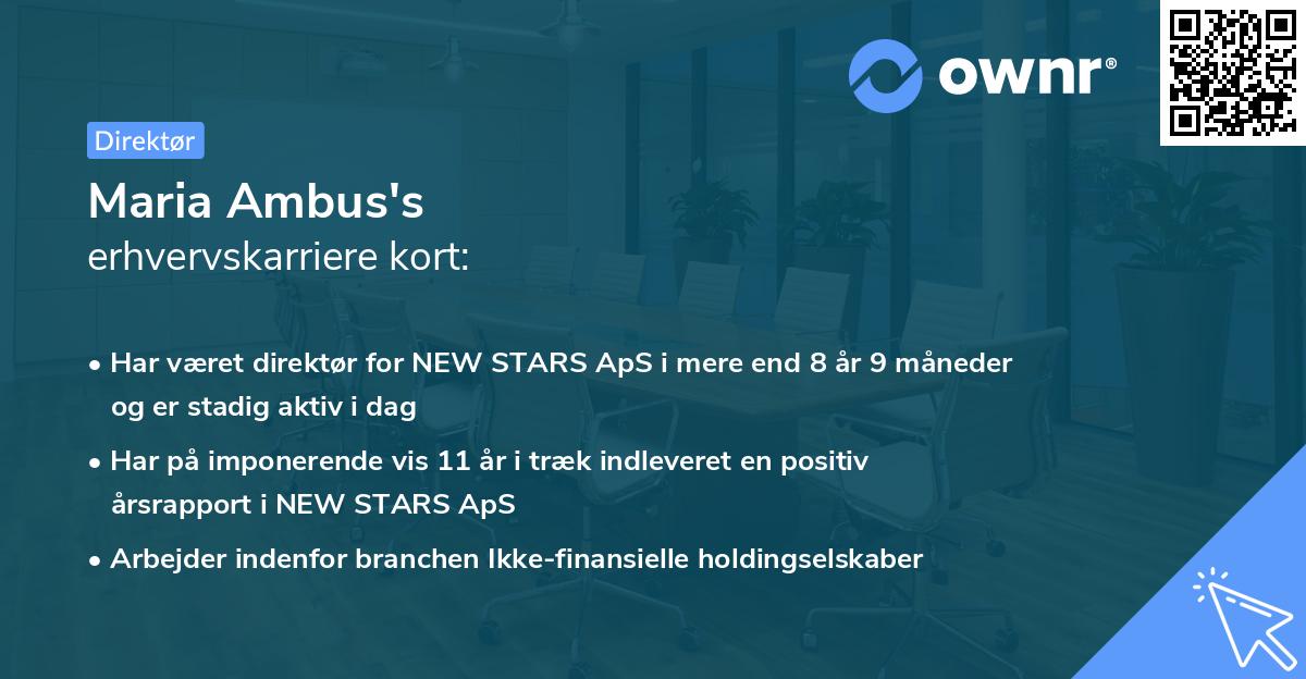 Maria Ambus's erhvervskarriere kort
