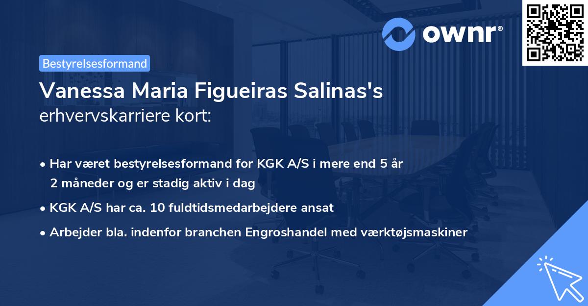 Vanessa Maria Figueiras Salinas's erhvervskarriere kort