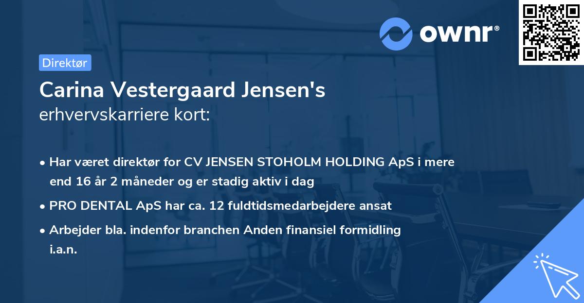 Carina Vestergaard Jensen's erhvervskarriere kort