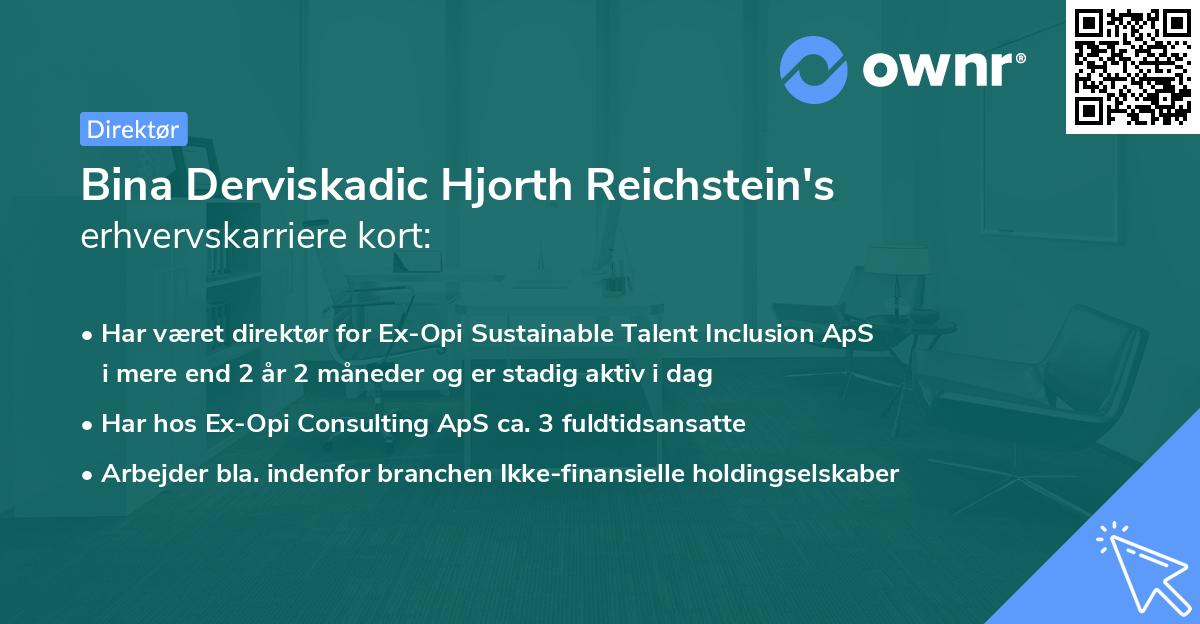 Bina Derviskadic Hjorth Reichstein's erhvervskarriere kort