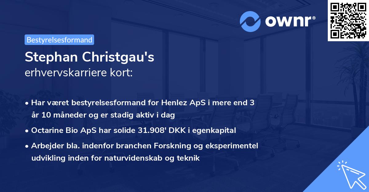 Stephan Christgau's erhvervskarriere kort