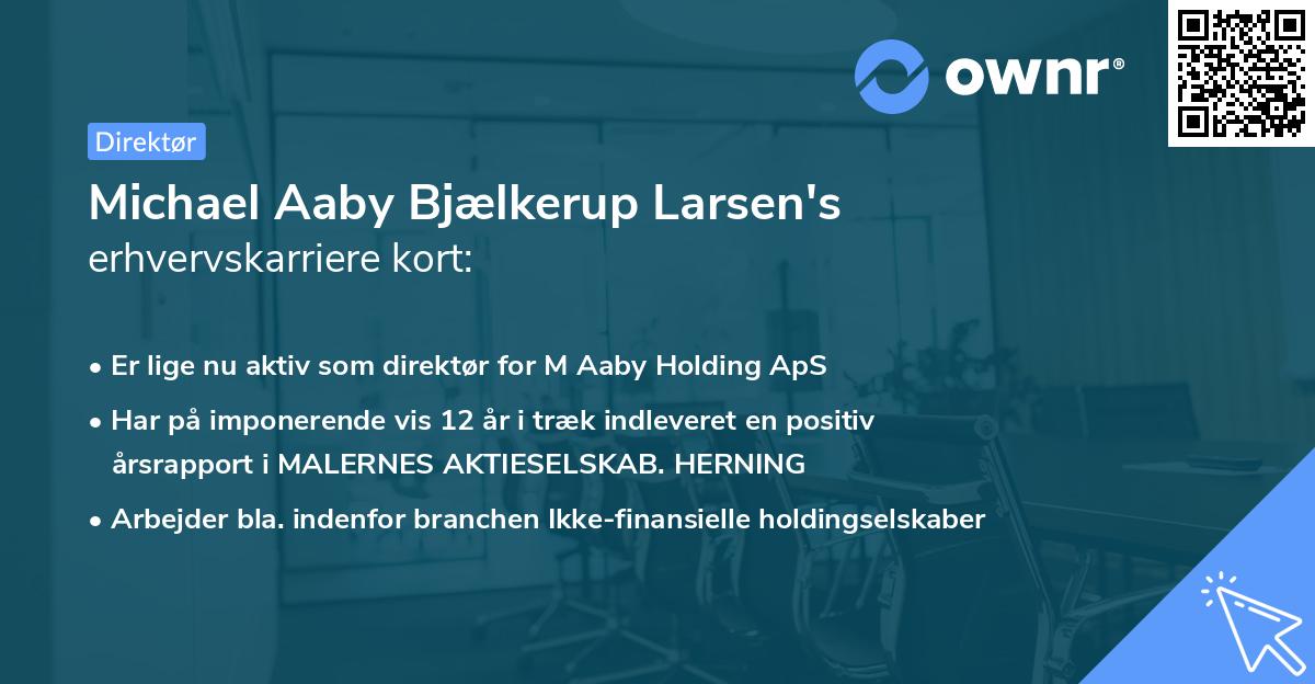 Michael Aaby Bjælkerup Larsen's erhvervskarriere kort