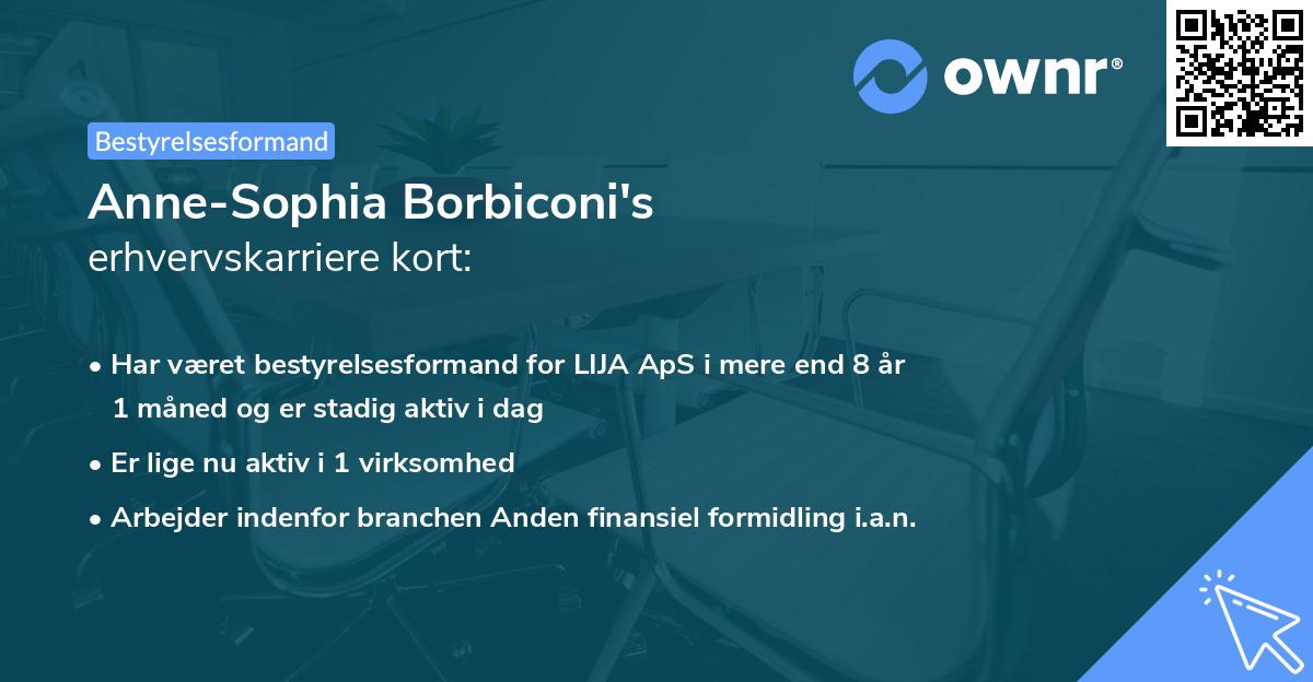 Anne-Sophia Borbiconi's erhvervskarriere kort