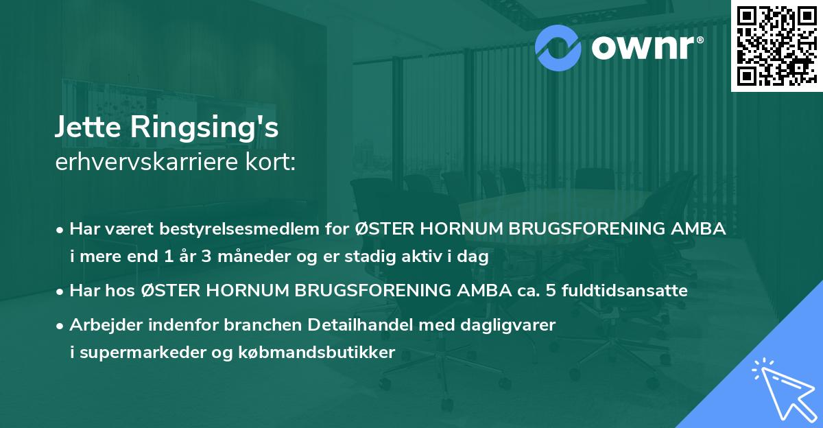 Jette Ringsing's erhvervskarriere kort
