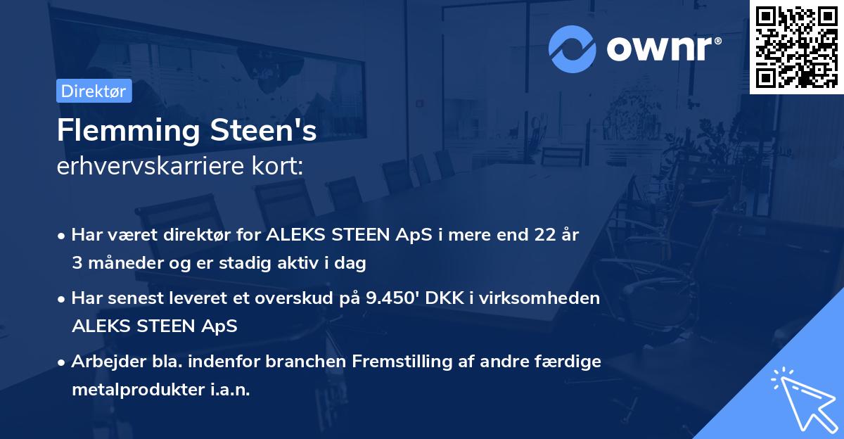 Flemming Steen's erhvervskarriere kort