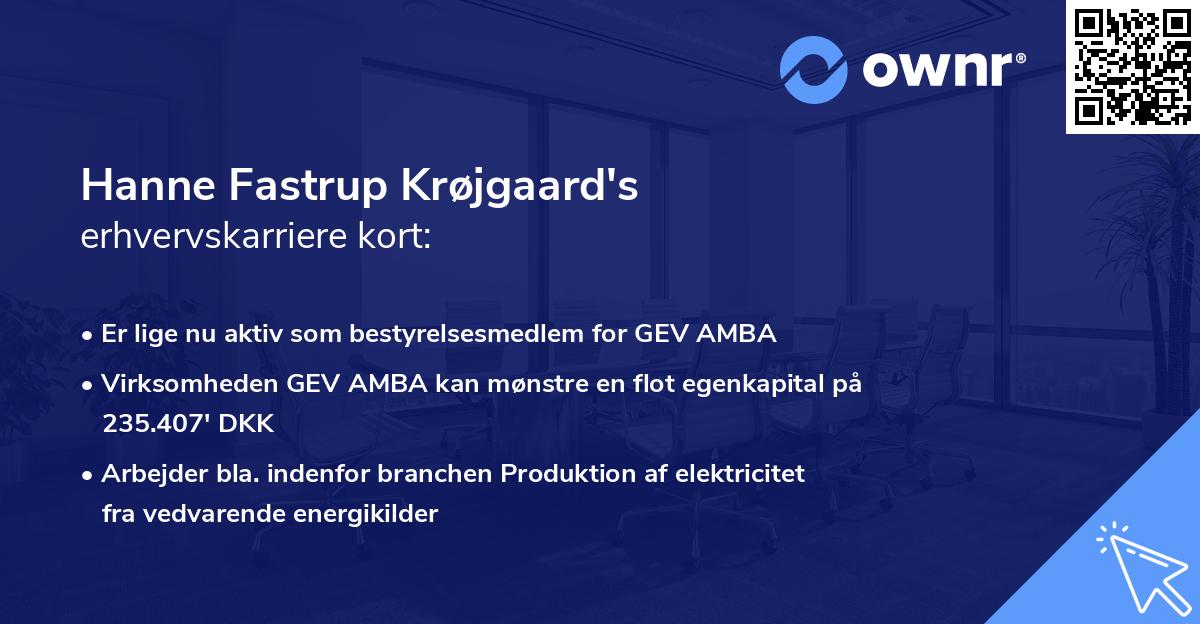 Hanne Fastrup Krøjgaard's erhvervskarriere kort