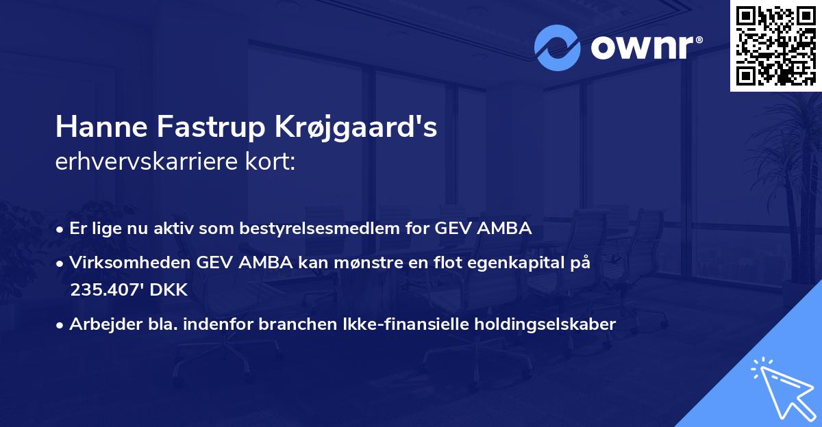 Hanne Fastrup Krøjgaard's erhvervskarriere kort