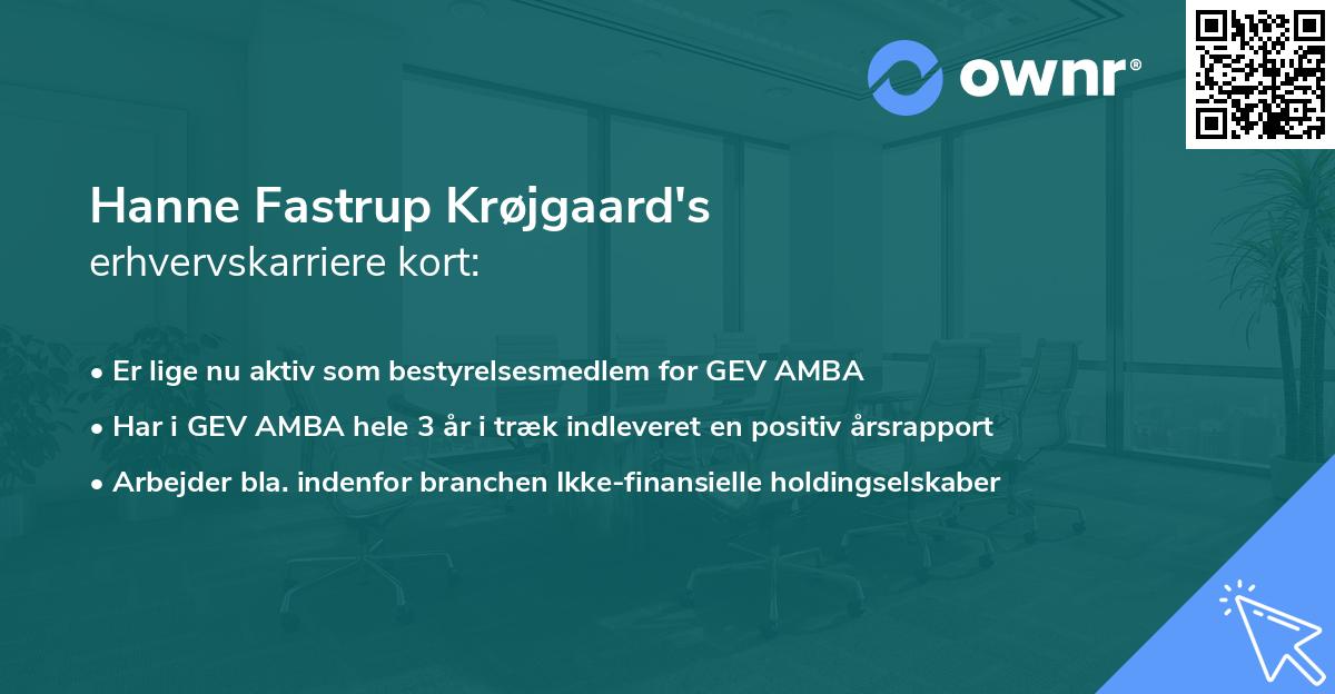 Hanne Fastrup Krøjgaard's erhvervskarriere kort