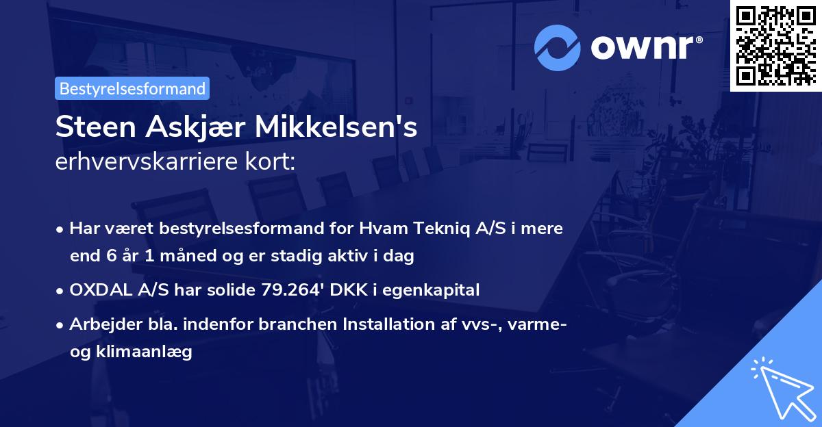 Steen Askjær Mikkelsen's erhvervskarriere kort